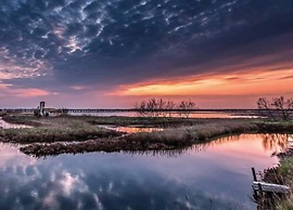 Retreat by the Adriatic Sea