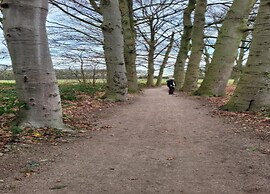 Detached Holiday Home in Nijmegen With Sauna