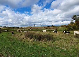 Detached Holiday Home in Nijmegen With Sauna