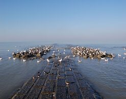 Amandari Apartment for six Person in Koksijde