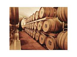 Oma Ludwin 1 Comfortable Holiday Residence