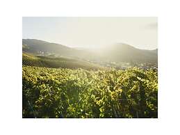 Oma Ludwin 1 Comfortable Holiday Residence