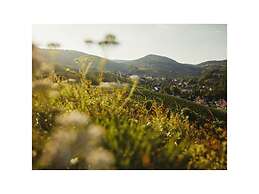 Oma Ludwin 1 Comfortable Holiday Residence