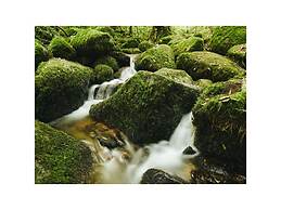 Oma Ludwin 1 Comfortable Holiday Residence