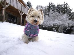 Chalet in La Roche With Garden
