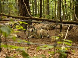 Chalet in La Roche With Garden