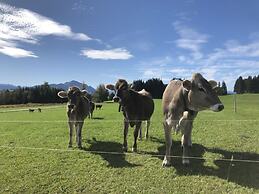 Apartment in the Waxenegg Country House