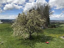 Apartment in the Waxenegg Country House