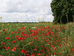 Strandhus Baabe Haus 3