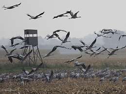 Holiday Apartment Svantevit