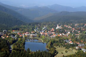 Holiday Flat in the Harz Near the ski Area
