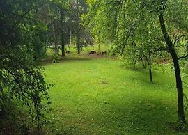 Holiday Flat in the Harz Near the ski Area