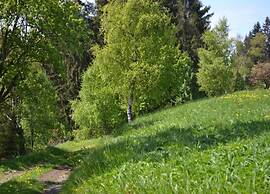 Holiday Flat in the Harz Near the ski Area