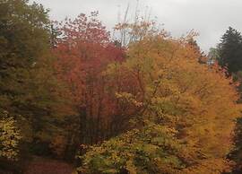 Holiday Flat in the Harz Near the ski Area