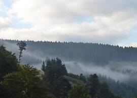 Holiday Flat in the Harz Near the ski Area