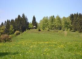 Holiday Flat in the Harz Near the ski Area