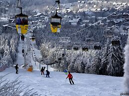 Holiday Flat in the Harz Near the ski Area