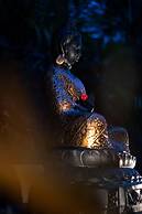 Viceroy Luxury Mountain Resort