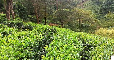 Viceroy Luxury Mountain Resort