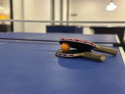 Viceroy Luxury Mountain Resort