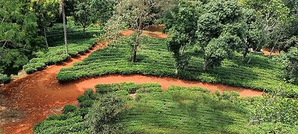 Viceroy Luxury Mountain Resort