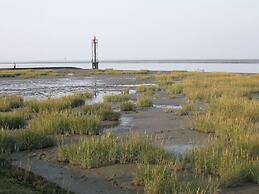 Roof-only House Modern Retreat