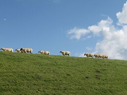 Roof-only House Modern Retreat