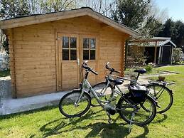 Shell Modern Retreat