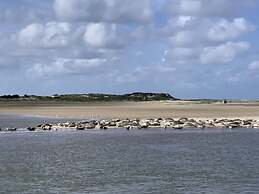 Shell Modern Retreat