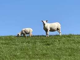 Shell Modern Retreat