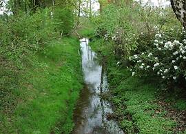 Cozy Countryside Getaway