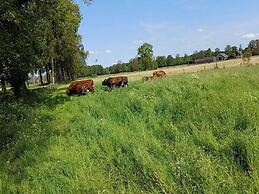 Cosy Farm Near the Forest