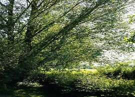 Cozy Countryside Getaway