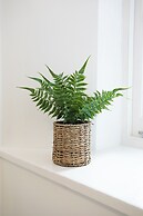 Park View Rooms and Relaxation