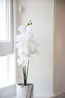 Park View Rooms and Relaxation