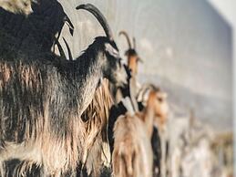 Luxury Apartment With Sauna, First ski Lift at 600m