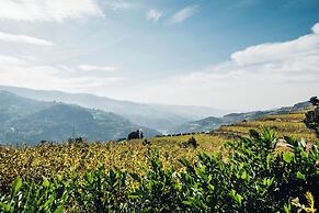 Quinta De Guimaraes