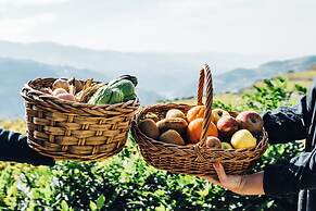 Quinta De Guimaraes