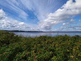 Farsighted Modern Retreat