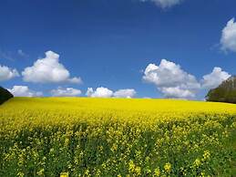 Farsighted Modern Retreat