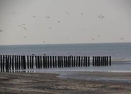 Holiday Home in Renesse Near Seabeach
