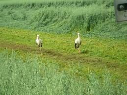 Brunnenhof Garden View