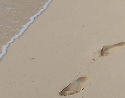 Juchmann Modern Retreat