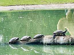 Villa Ostseekind Comfortable Holiday Residence