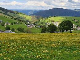 Landhuis Appartement Feldberg Uitzicht