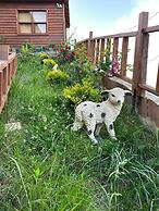 Antik House Bungalov