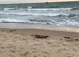 Romantic Getaway Near Beach