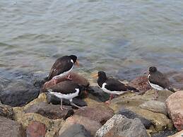 Holiday Apartment Oystercatcher