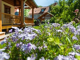 To Salamander No. 15a