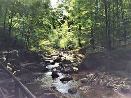 To Salamander No. 15a